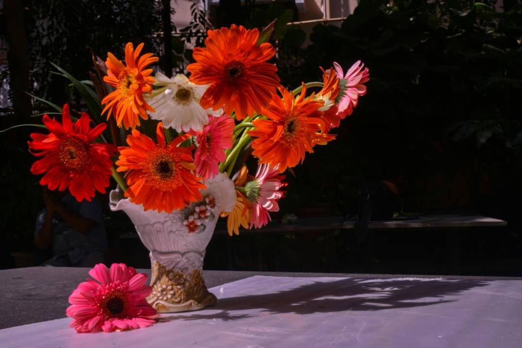 Blumenphilosophie