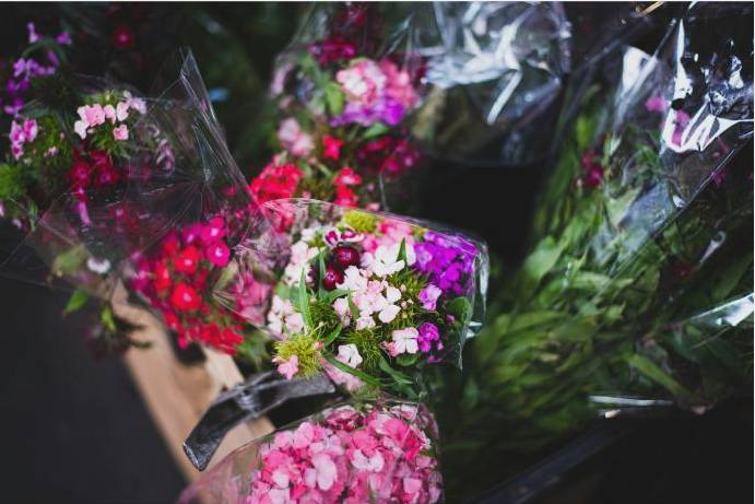 Detailaufnahme Blumen